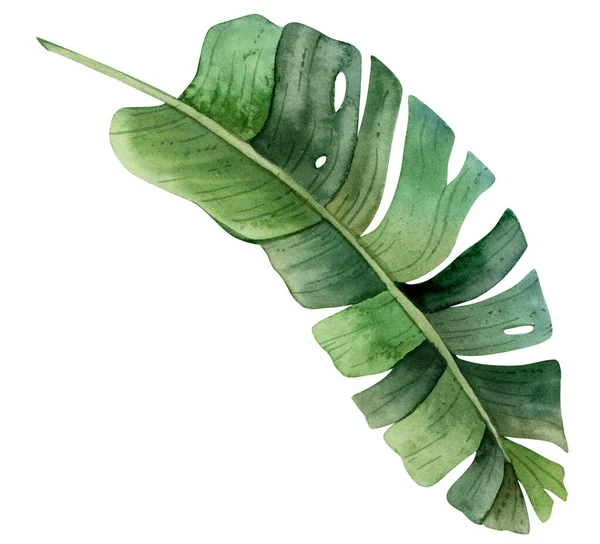 Υδατογραφία Πράσινο Τροπικό Φύλλο Φοίνικα Πάνω Όψη Χειροποίητη Απεικόνιση Που — Φωτογραφία Αρχείου