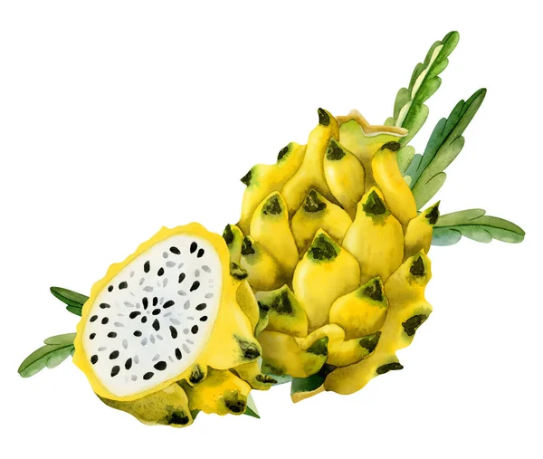 Gelbe Drachenfrucht Vollständig Und Halbe Pitahaya Mit Grünen Kakteenblättern Aquarell — Stockfoto