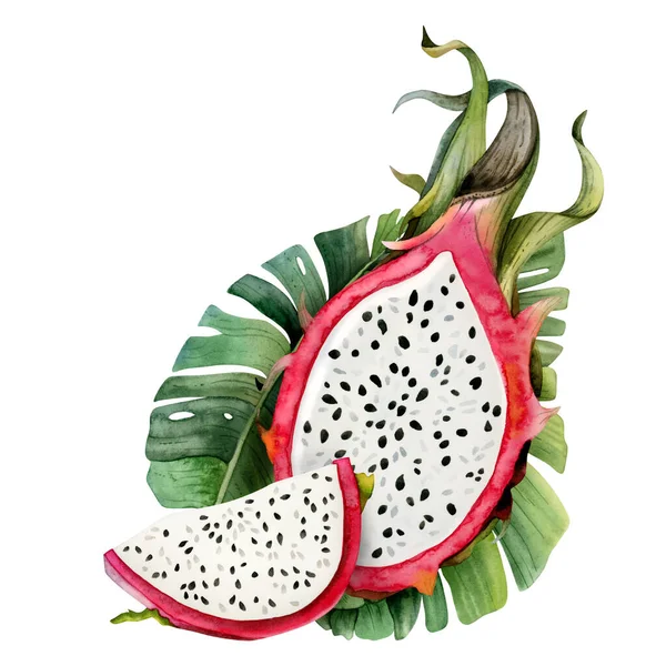 Mitad Fruta Dragón Rosa Rebanada Con Hojas Palma Tropical Ilustración — Foto de Stock
