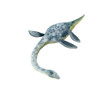 Mavi suluboya Elasmosaurus plesiosaur. Beyaz arka planda izole edilmiş elle boyanmış gerçekçi su altı dinozoru.