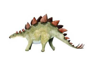 Kırmızı ve yeşil renklerde suluboya otçul dinozor stegosaurus. Beyaz arkaplanda izole edilmiş Jurasik dönemin el çizimi çizimi