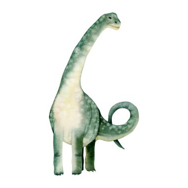 Suluboya brachiosaurus yeşil dinozor. Beyaz arka planda izole edilmiş Jurassic antik hayvanının el çizimi.