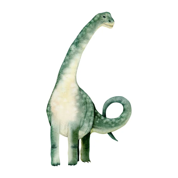 Watercolor Brachiosaurus Green Dinosaur Hand Drawn Illustration Jurassic Ancient Animal — Stock Photo, Image