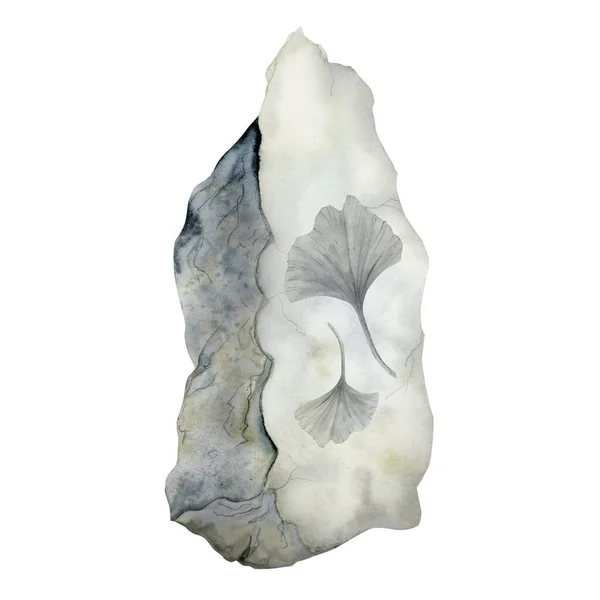 Ginkgo Φύλλα Φυτών Απολιθωμάτων Αποτυπωμένα Πέτρα Ακουαρέλα Εικόνα Απομονώνονται Λευκό — Φωτογραφία Αρχείου