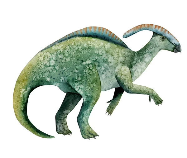 Herbivorous Parasaurolophus Dinosaur Watercolor Illustration Green Ancient Animal Children Room — Stock Photo, Image