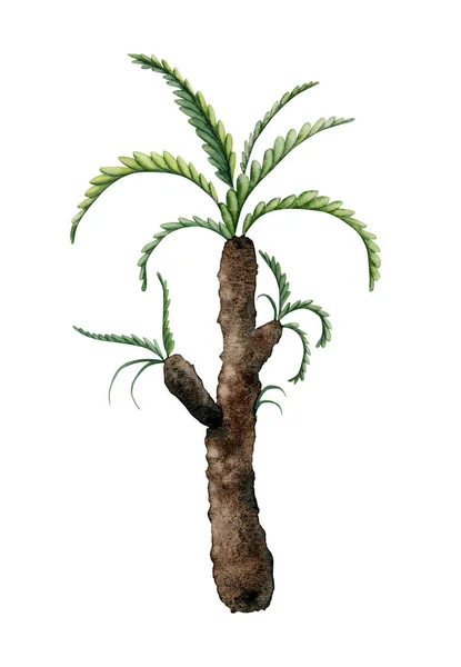 白地に手描きされたサゴヤシの木の水彩画 恐竜時代の古代熱帯植物 — ストック写真
