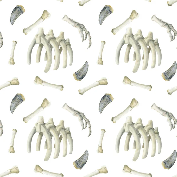 Watercolor Dinosaur Bones Seamless Pattern Realistic Tyrannosaurus Skull Teeth Hand — Stock Photo, Image