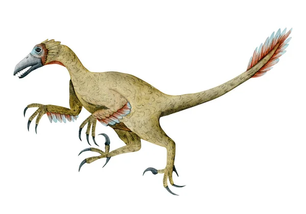 Running Velociraptor Watercolor Illustration Prehistirical Dinosaur Feathers Isolated White Background — Stock Photo, Image