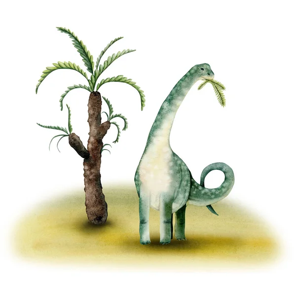 Grön Akvarell Brachiosaurus Dinosaurie Äta Palm Blad Sammansättning Isolerad Vit — Stockfoto