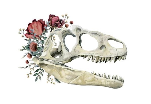 Carnivorous dinosaur skull with red roses, field flowers and eucalyptus watercolor illustration isolated on white background