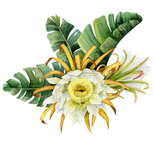 サボテンの花を咲かせ 熱帯のヤシの葉は 白く孤立した水彩画を残します 黄色と緑の色のエキゾチックな植物 手描きの開花ドラゴンフルーツ エキゾチックな花の絵 — ストック写真