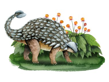 Yeşil çimenlerdeki Ankylosaurus dinozoru, çiçeklerle süslü fantezi çalıları, beyaz arka planda izole edilmiş suluboya çizimleri. El çizimi Mezozoik çağdan kalma tarih öncesi hayvan tırmanışı.