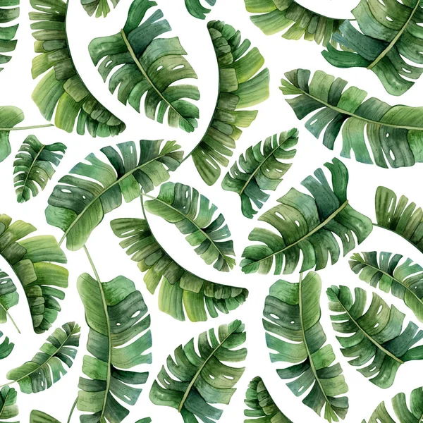Tropikalne Liście Palmy Bezszwowy Wzór Białym Tle Zielonych Roślin Dżungli — Zdjęcie stockowe