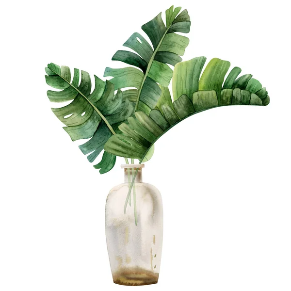 白い背景に隔離された透明な花瓶ボトル水彩イラストでモンスター ヤシの木とバナナの熱帯の葉 トレンディーなBohoスタイルの夏休み — ストック写真