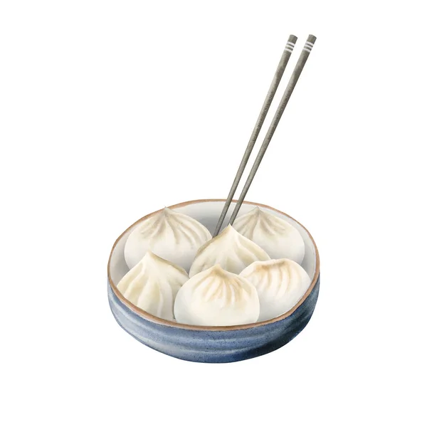 Hand Drawn Chinese Dumplings Ceramic Bowl Chopsticks Isolated White Background — Stock Photo, Image
