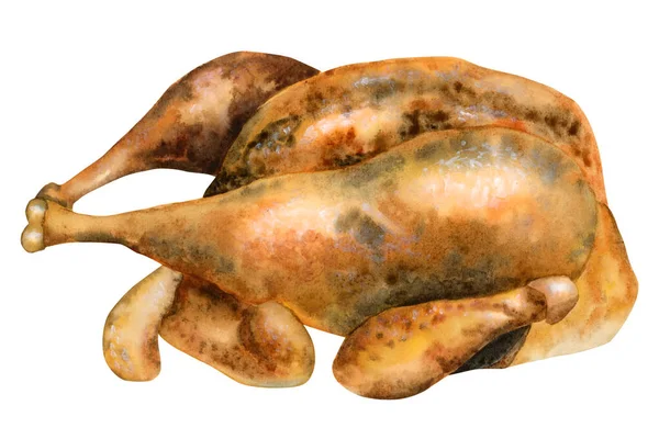 Handgezeichnete Illustration Einer Gebratenen Ente Knackiges Geflügelfleisch Traditionelle Pekinger Ente — Stockfoto