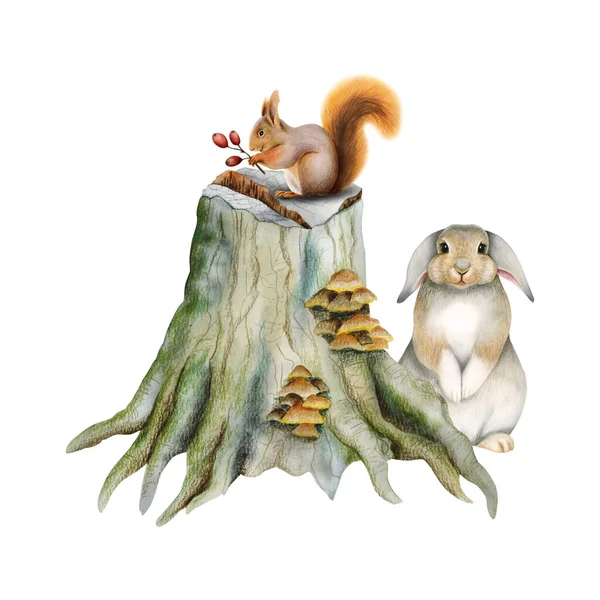 用蘑菇站在树桩上的可爱的林地动物 白色背景下孤立的森林兔子和松鼠的水彩画 — 图库照片