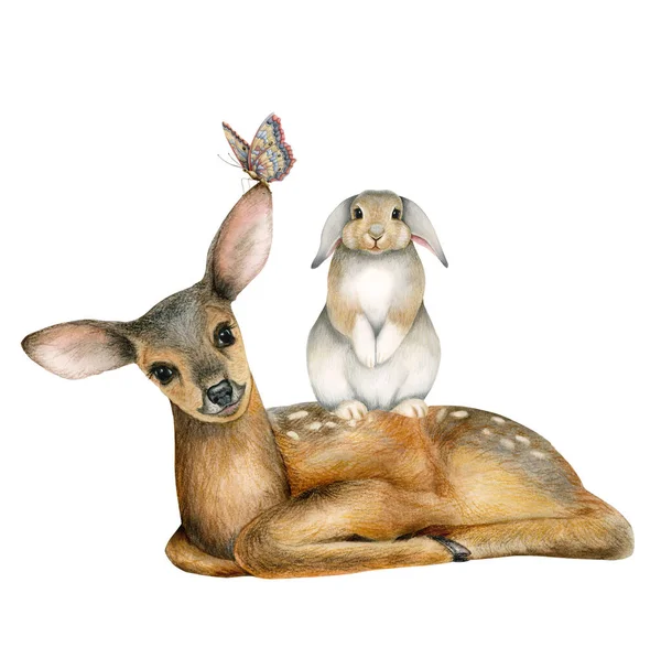 Lesy Realistická Roztomilá Zvířata Srnka Lesní Zajíc Motýl Skandinávská Akvarel — Stock fotografie