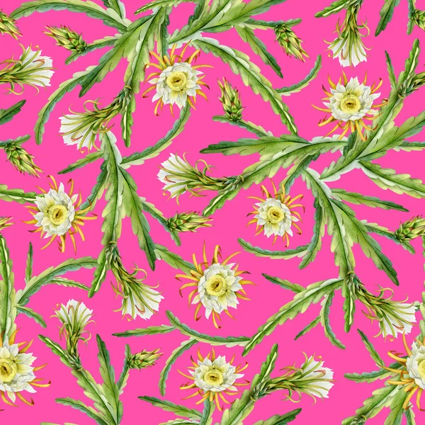 Неоновые Розовые Цветы Кактуса Зеленых Ветвях Почки Акварели Бесшовный Узор — стоковое фото