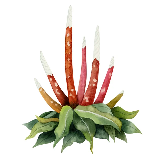 Arbusto Fantasía Acuarela Con Largos Tallos Rojos Manchados Flores Ilustración —  Fotos de Stock