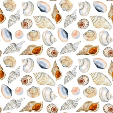Farklı deniz kabukları ve incilerle suluboya desenli beyaz arka planda mavi, turuncu, bej. Denizcilik kağıdı, çocuk tekstili.