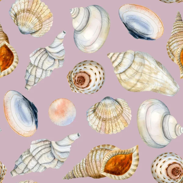 Seashells Watercolor Seamless Pattern Dusty Pink Basckground Shells Pearls Illustrations — Stock Photo, Image
