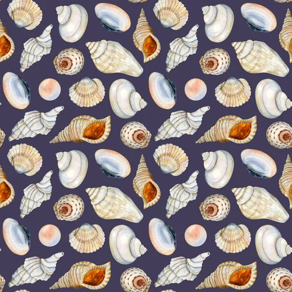 Dunkelblaue Nautische Aquarellmuscheln Mit Nahtlosem Muster Für Stoff Textildesign Einbände — Stockfoto