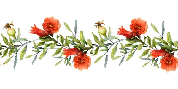 Granatäpple Grenar Med Röda Blommor Blomma Och Unga Frukter Akvarell — Stockfoto