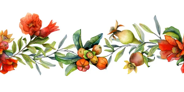 Granatapfelblüten Und Früchte Auf Zweigen Aquarellieren Waagerechte Nahtlose Banner Botanische — Stockfoto