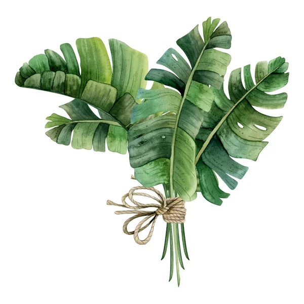 Tropikalne Liście Palmowe Monstera Lub Bukiet Bananów Łuku Liny Akwarela — Zdjęcie stockowe