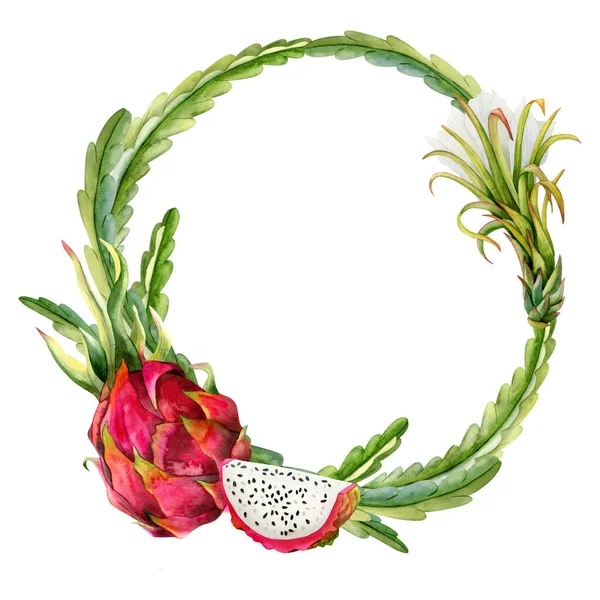Botaniczne Okrągłe Ramki Akwarelowym Różowym Smokiem Plasterki Owoców Kwiaty Kaktusy — Zdjęcie stockowe