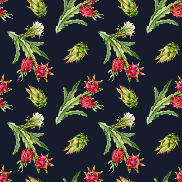Ciemny Akwarela Pitaya Gałązki Kaktusa Czerwonymi Owocami Smoka Kwiaty Bezszwowy — Zdjęcie stockowe