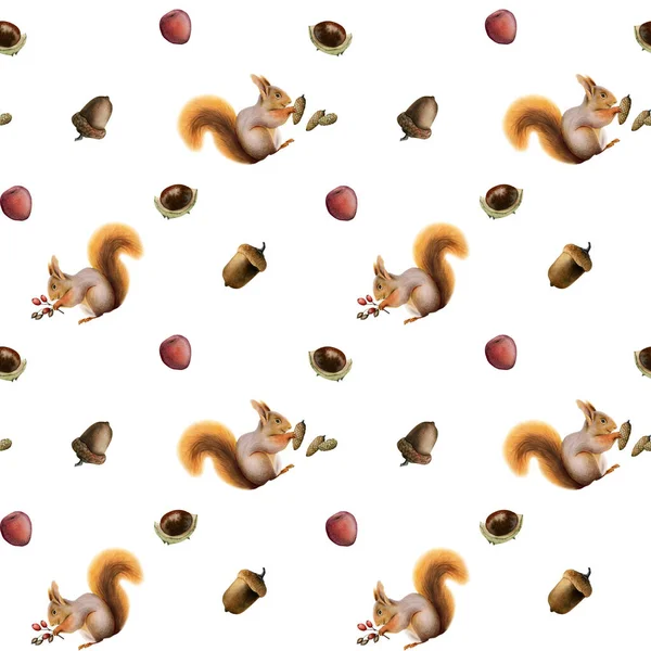 红松鼠 带有松果 浆果和栗子水彩斑斓的图案 白色背景面料 剪贴簿 床单图案 — 图库照片