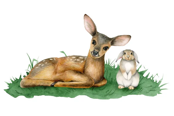 小鹿和兔子在绿草水彩画上的可爱的林地动物在白色背景上被隔离 用于贴纸和幼儿设计 — 图库照片