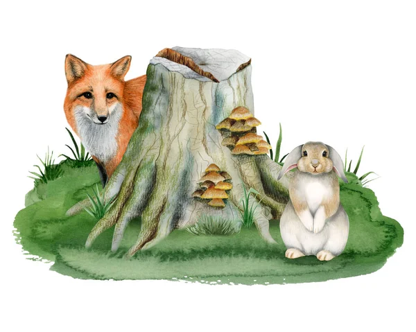红狐躲在树桩后面 蘑菇丛生 兔子坐在绿草上 水彩画林地景观与森林动物水彩画隔离在白色背景下 — 图库照片