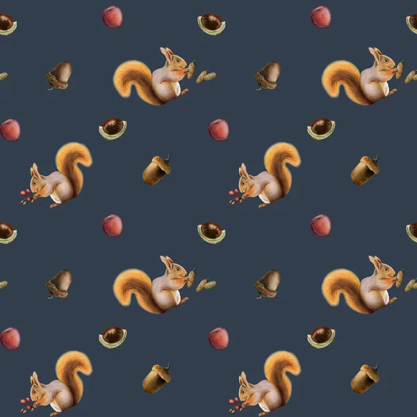 Esquilo Laranja Com Cones Pinho Bolotas Bagas Vermelhas Castanhas Aquarela — Fotografia de Stock