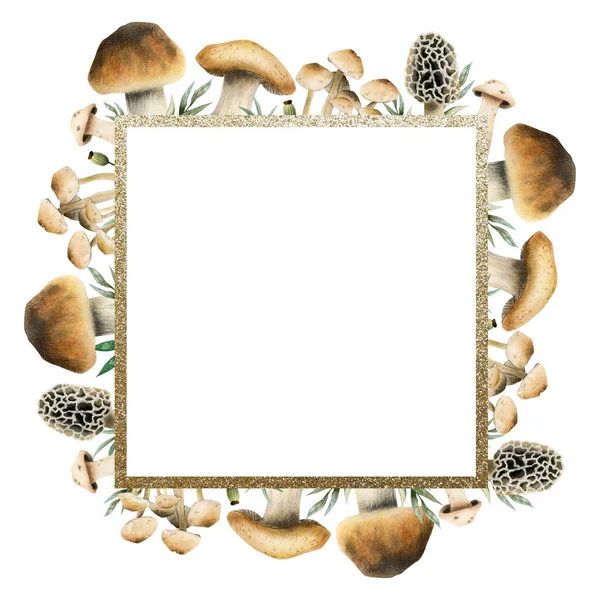 Акварельні Їстівні Гриби Квадратної Рамки Ілюстрацією Золотої Межі Ізольовані Білому — стокове фото