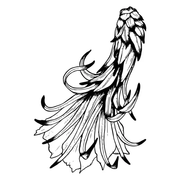 Векторна Квітка Кактуса Листям Вид Збоку Чорно Білий Контур Ілюстрації — стоковий вектор