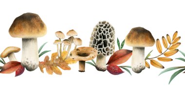 Kahverengi, yenilebilir mantarlar ve sarı kırmızı sonbahar yapraklı yatay ve pürüzsüz sınır beyaz arkaplanda izole edilmiş suluboya çizimleri yapar..