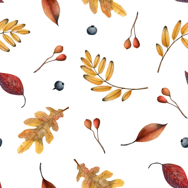 Желтый Красный Осенью Листья Ягоды Плавно Узор Белом Осенняя Ботаническая — стоковое фото