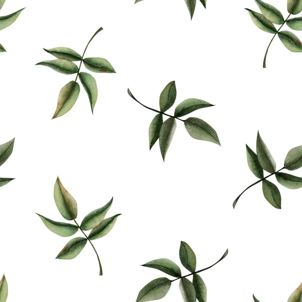 Акварель Бесшовный Узор Зелеными Листьями Простой Цветочный Фон Белом Упаковки — стоковое фото