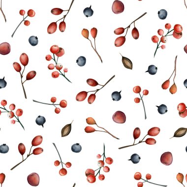 Orman meyveleri suluboya desenli yaban mersini, rowan ve tohumlar sonbahar tasarımları için beyaz arka planda.