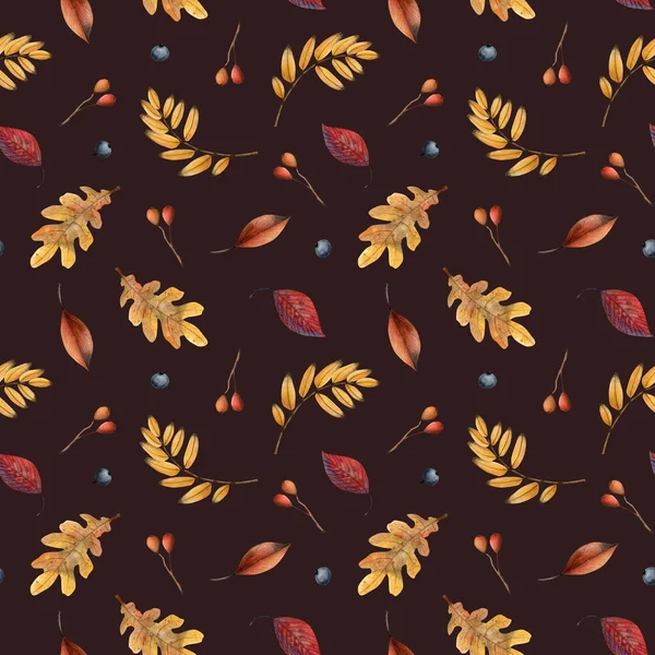 Желто Красные Листья Рована Ягоды Печати Узор Темно Коричневом Осенняя — стоковое фото