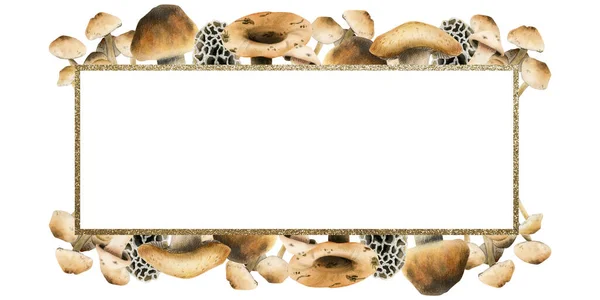 Cogumelos Boleto Comestíveis Quadro Retangular Com Borda Dourada Ilustração Aquarela — Fotografia de Stock