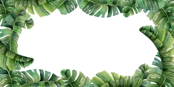 Grön Tropisk Horisontell Banner Akvarell Mall Med Palmblad Isolerade Vit — Stockfoto