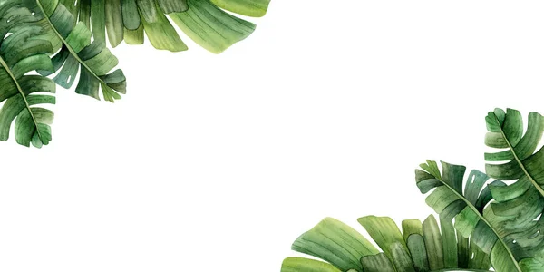 Hörn Tropiska Blad Horisontell Banner Akvarell Mall Med Palm Träd — Stockfoto