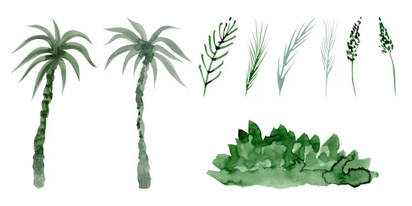 Suluboya Basit Palmiye Ağaçları Yeşil Çimen Çizimleri Beyaz Arka Planda — Stok fotoğraf