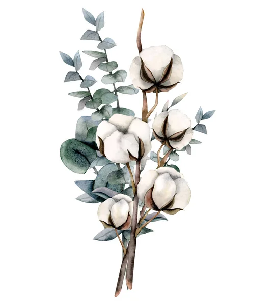 Иллюстрация Букета Цветов Акварели Хлопка Изолирована Белом Фоне Ручной Рисунок — стоковое фото