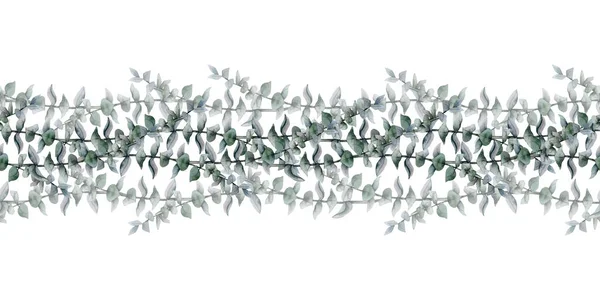 白い背景に銀ドルの枝と花ユーカリのシームレスな境界線 エレガントな植物緑の水彩イラスト — ストック写真