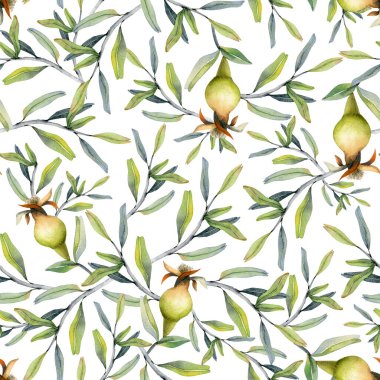 Suluboya nar yetişen meyve ve dallar beyaz arka planda kumaşlar için pürüzsüz desen, Yahudi Rosh Hashanah tebrik kartı, botanik çiçek tasarımları.